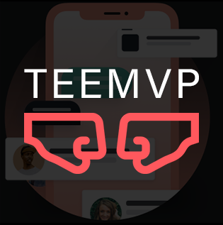 TeamVP